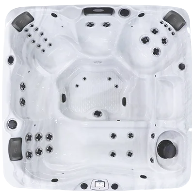 Avalon-X EC-840LX hot tubs for sale in Mishawaka