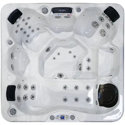 Avalon EC-849L hot tubs for sale in Mishawaka