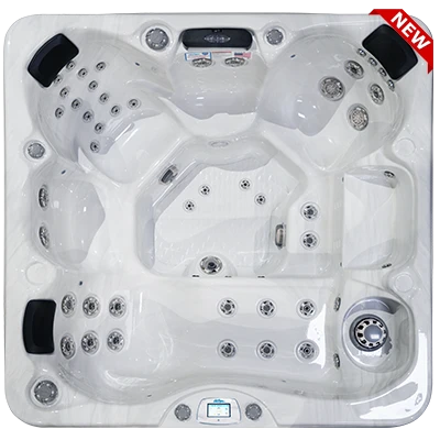 Avalon-X EC-849LX hot tubs for sale in Mishawaka