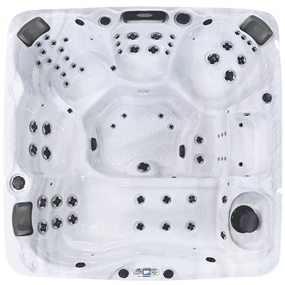 Avalon EC-867L hot tubs for sale in Mishawaka